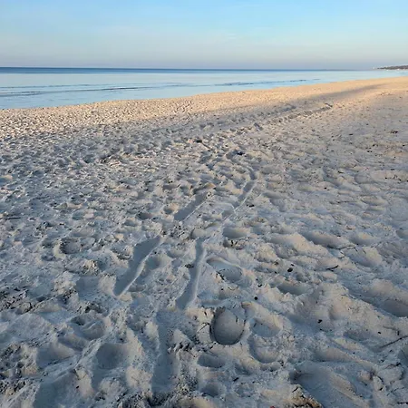 Bellamaya - Kapitanska 18 *