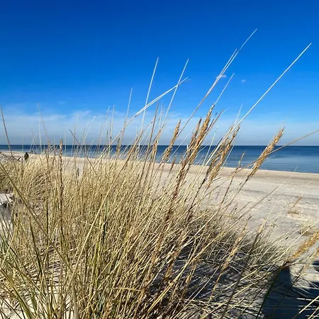 Bellamaya - Kapitanska 18 *