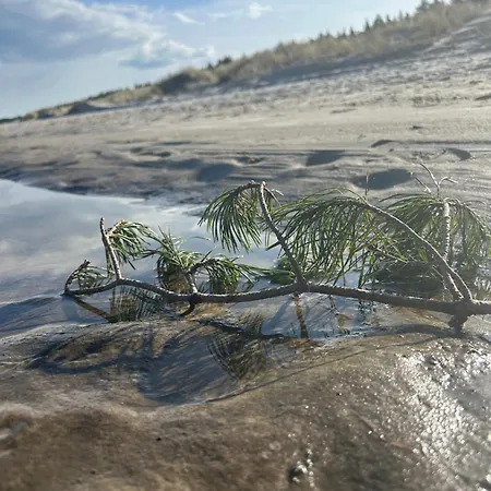 アパート Bellamaya - Kapitanska 18 *