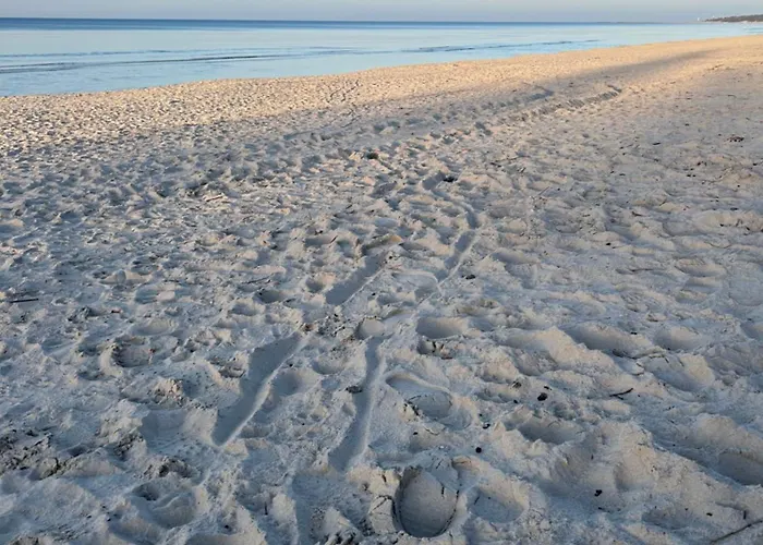 Bellamaya - Kapitanska 18 *