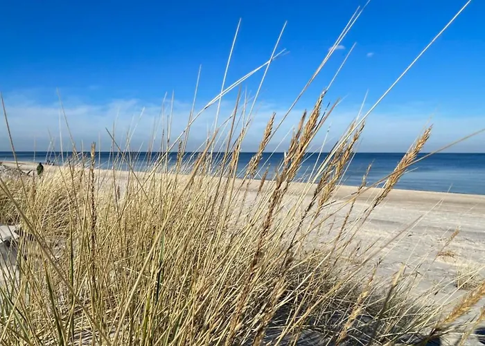 Bellamaya - Kapitanska 18 *