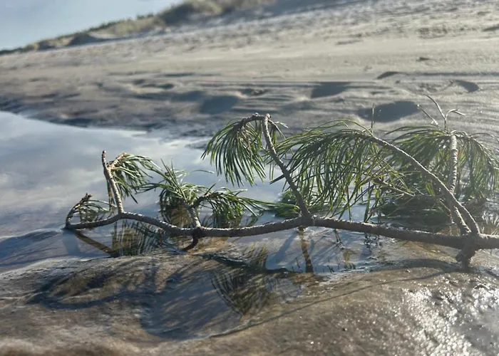 شقة Bellamaya - Kapitanska 18 *